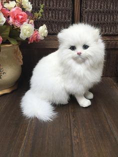 a white cat sitting on top of a wooden floor next to a vase with flowers