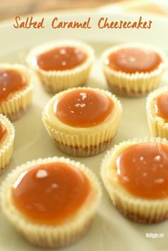 small caramel cheesecakes on a white plate with the words salted caramel cheesecakes