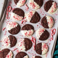 chocolate cookies with white frosting and candy canes on a baking sheet, ready to be eaten