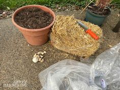 there is a potted plant next to a pile of hay and other things on the ground