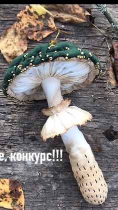 an image of a mushroom on the ground with words written below it that say, i love you