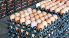 several trays filled with brown and white eggs