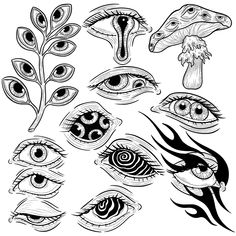 an assortment of different types of eyes and their parts in black and white ink on a white background