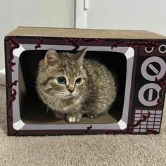 a cat sitting in a cardboard box on the floor next to a carpeted floor