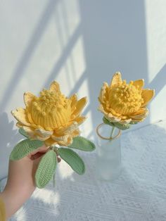 two yellow flowers sitting in a vase on a white tableclothed surface, one being held by a person's hand