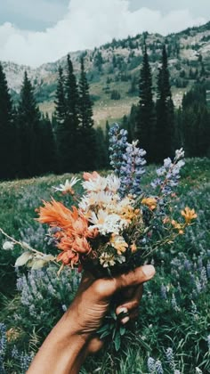 a hand holding a bouquet of flowers in the middle of a field with trees and mountains in the background