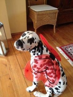 a dalmatian dog sitting on the floor wearing a red and black hat with an orange frisbee in it's mouth