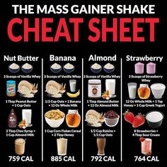 Mass Gainer Shake, Gainer Shake, Weight Gain Shakes, 500 Calorie, Mass Gainer