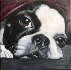 a painting of a black and white dog wearing a red hat