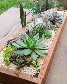 a wooden planter filled with succulents and rocks