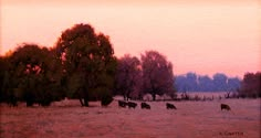 cows grazing in a field with trees at sunset