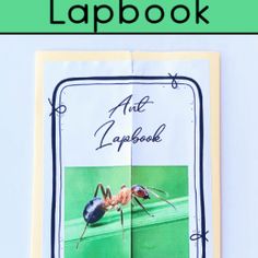 an ant lapbook with text overlay