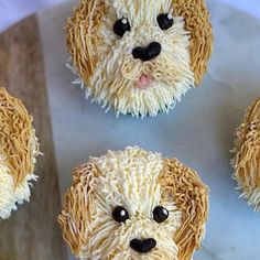 four cupcakes made to look like dogs