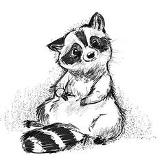 a drawing of a raccoon sitting on the ground