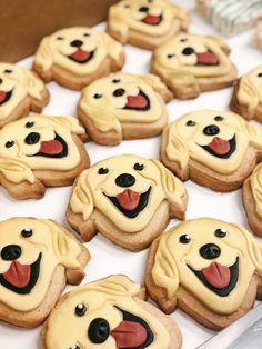 decorated cookies with dog faces on them