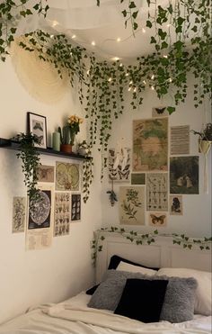 a bedroom with lots of plants hanging from the ceiling and pictures on the wall above it