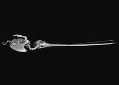 the skeleton of a bird is shown in black and white