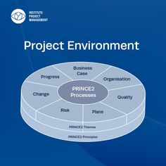 the project environment diagram for prince2 processes