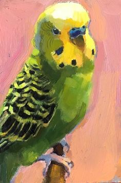 a painting of a green and yellow parakeet sitting on a perch with pink background