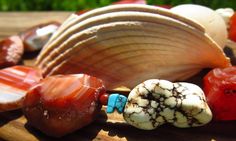 Tangerine orange agate and magnesite bead necklace Orange Agate, Tangerine Orange, Shades Of Orange, Bead Necklace, Agate, Orange, Ethnic Recipes