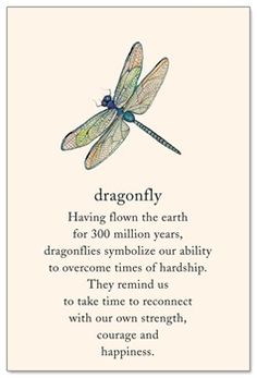 a dragonfly is shown on the back of a card that reads,'dragonfly having flown the earth for 300 million years, dagonics symbolize our ability to overcome