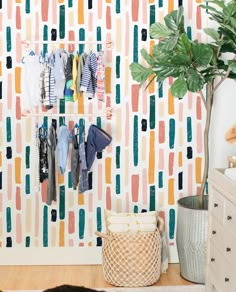 a closet with clothes hanging on the wall and a potted plant next to it