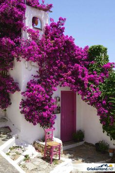 purple flowers are growing on the side of a white building with pink door and window