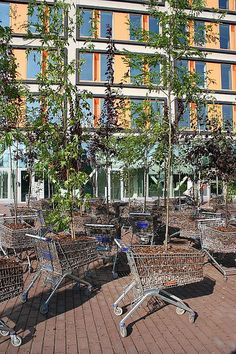 several shopping carts are lined up in front of a building with many windows and trees