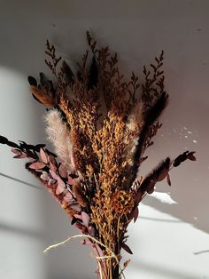 dried flowers are arranged in a vase against a white wall