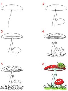 step by step instructions to draw mushrooms for children and beginners, with pictures on the page