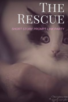 the rescue short story promp link party