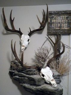 two deer heads mounted to the side of a wall