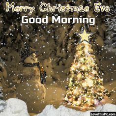 a merry christmas eve good morning card