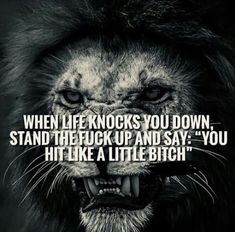 a lion's face with the words, when life knocks you down, stand the f