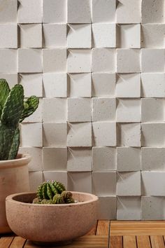 a potted plant sitting on top of a wooden table next to a white tiled wall