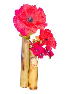 two tall vases with flowers in them