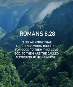 the words romans 8 28 and we know that all things work together for good to them that love god, to them are the called according to his purpose