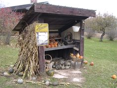 an outhouse with pumpkins and gourds in it