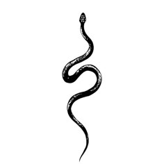 a black and white drawing of a snake