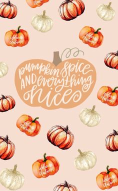 the pumpkin spice and everything nice logo is surrounded by small oranges on a pink background