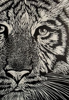 a black and white drawing of a tiger's face