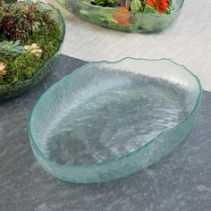 two glass bowls filled with plants on top of a table