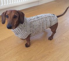 a dog wearing a sweater standing on the floor