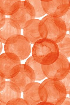 an orange background with lots of circles on it's side and the bottom half in red