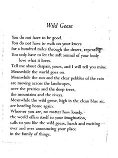 a poem written in black and white with the words wild goose on it's side