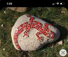 a red and white lizard sitting on top of a rock next to a green field