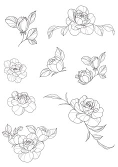 some flowers that are drawn in black and white