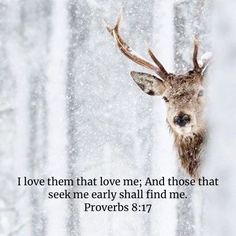 a deer with antlers on it's head and the words i love them that love me and those that seek me early shall find me prove prove