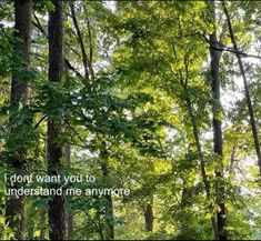 a forest filled with lots of trees covered in green leaves next to a quote that reads i don't want you to understand me anymore