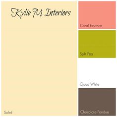 the color scheme for an interior design project, with different colors and text on it